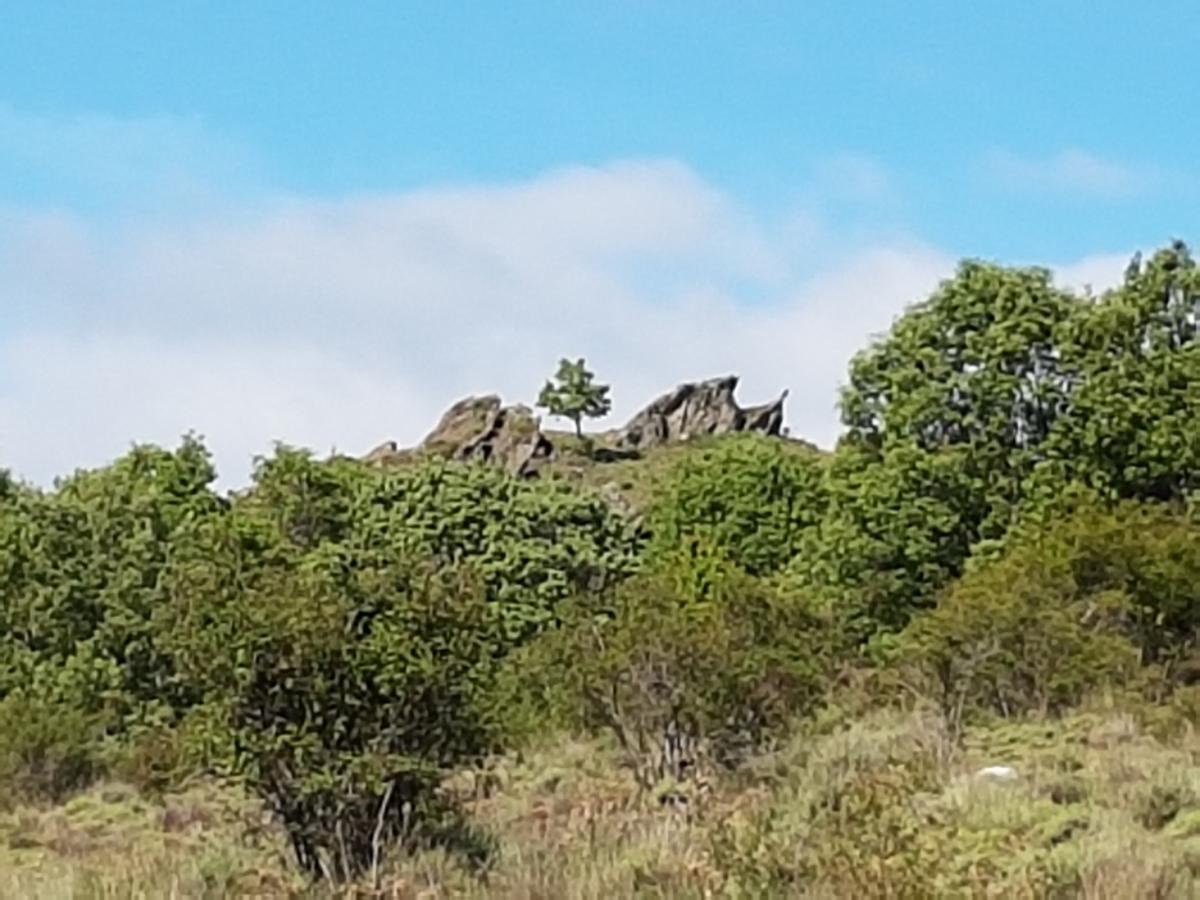 Horcajuelo de la Sierra La Posada De Horcajuelo מראה חיצוני תמונה