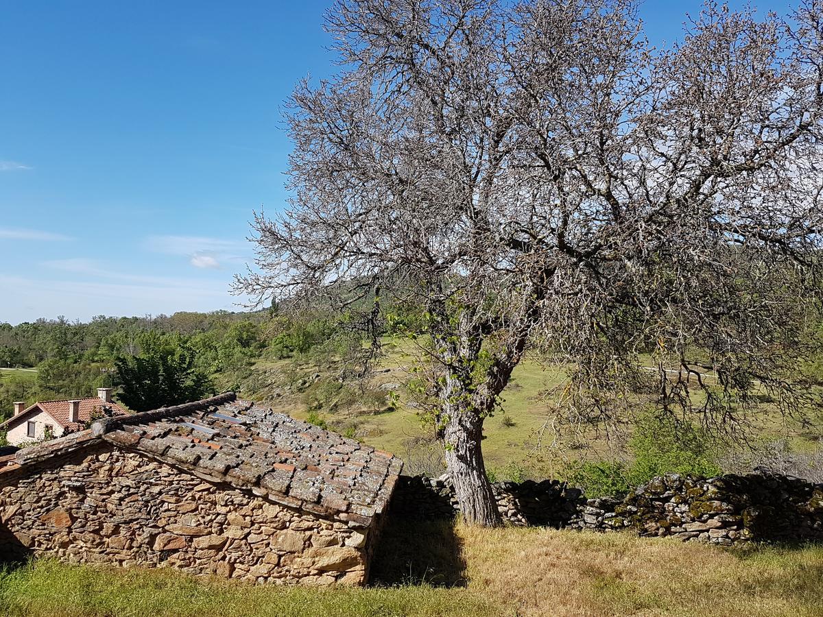 Horcajuelo de la Sierra La Posada De Horcajuelo מראה חיצוני תמונה