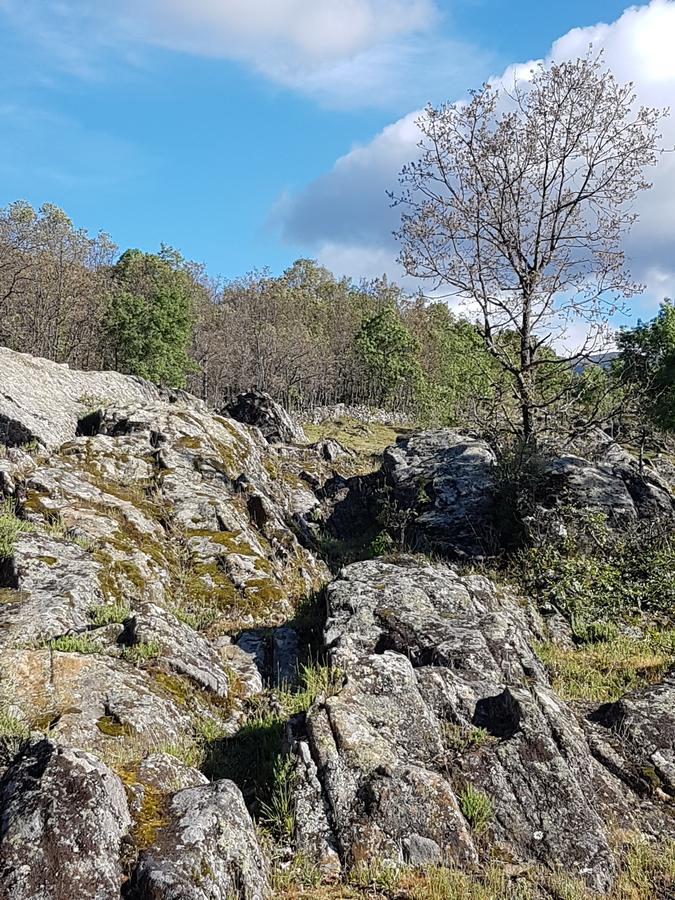 Horcajuelo de la Sierra La Posada De Horcajuelo מראה חיצוני תמונה